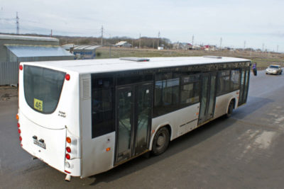 автобусы нефаз модельный ряд